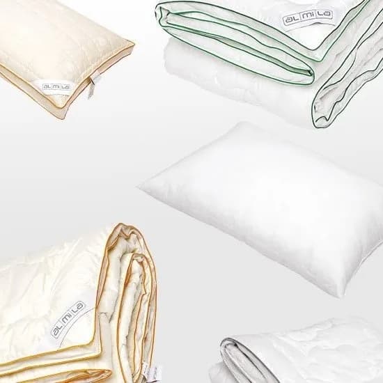 Pillow and blanket